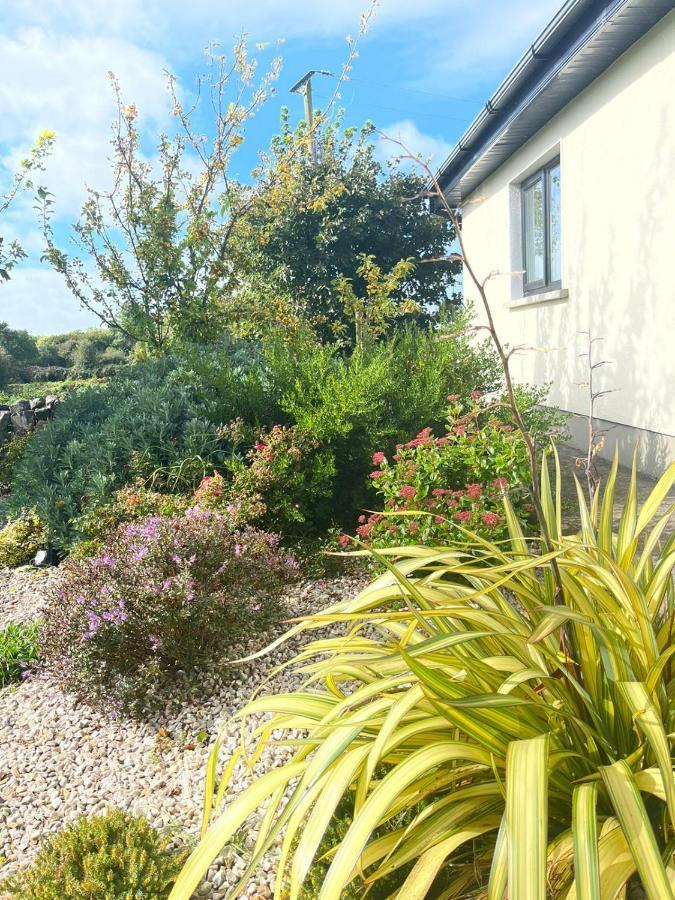 Butterfly Guesthouse - Entire Home Within 5Km Of Galway City Extérieur photo