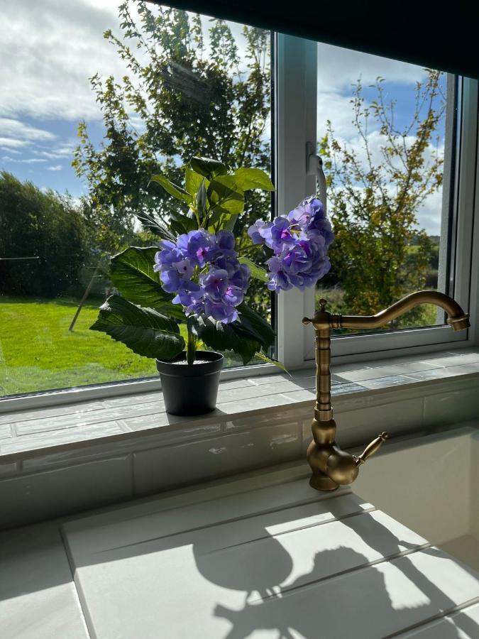 Butterfly Guesthouse - Entire Home Within 5Km Of Galway City Extérieur photo